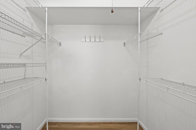 spacious closet featuring wood finished floors