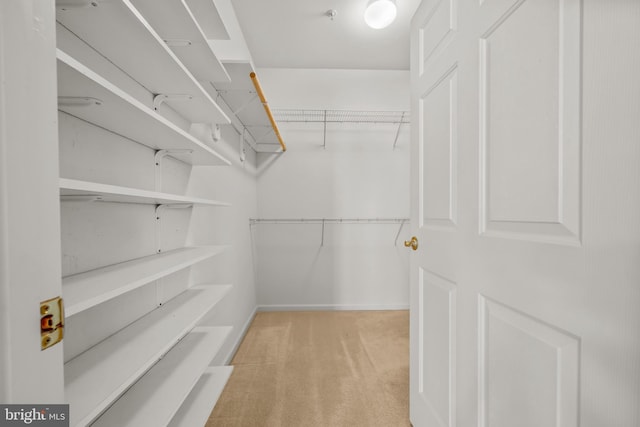 spacious closet featuring carpet flooring