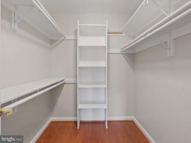 walk in closet featuring wood finished floors