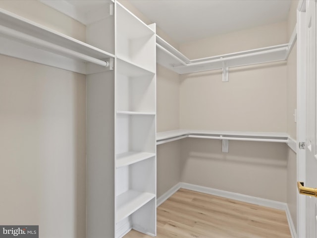 spacious closet with wood finished floors