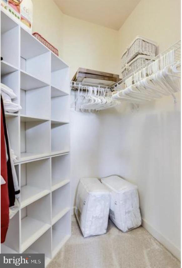 42578 Dreamweaver Dr, Brambleton, VA 20148 - spacious closet featuring carpet flooring