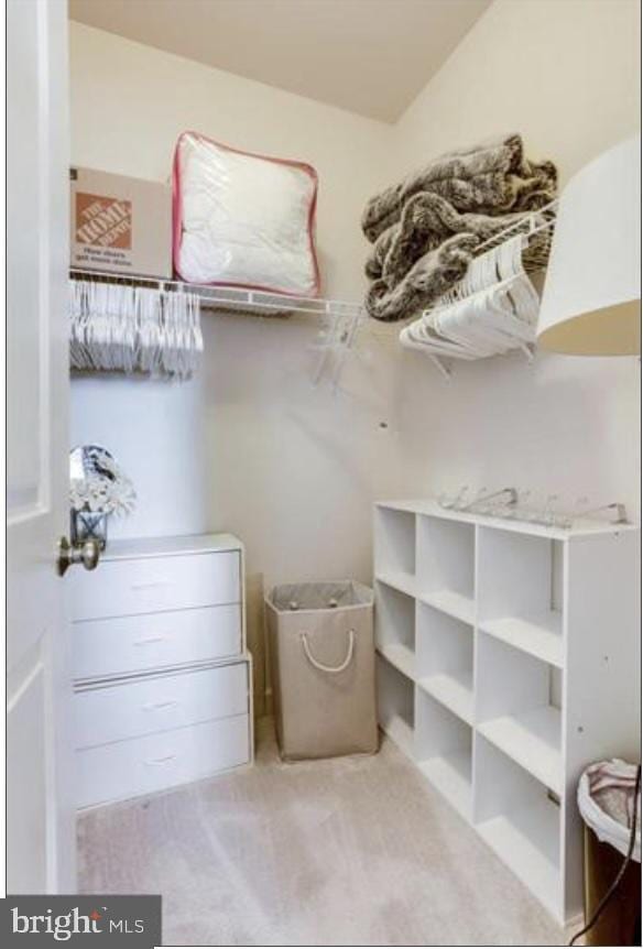42578 Dreamweaver Dr, Brambleton, VA 20148 - view of storage room