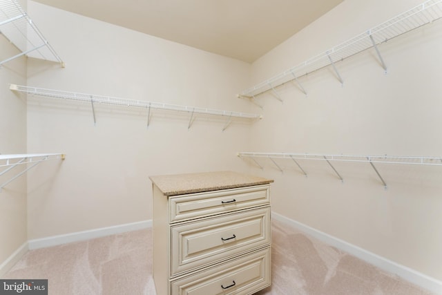 spacious closet featuring light colored carpet