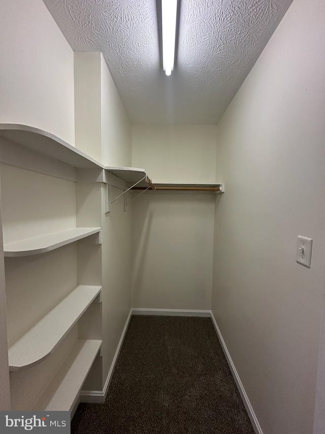 spacious closet with carpet flooring