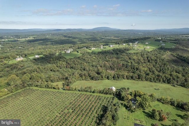 aerial view featuring a rural view and a mountain view