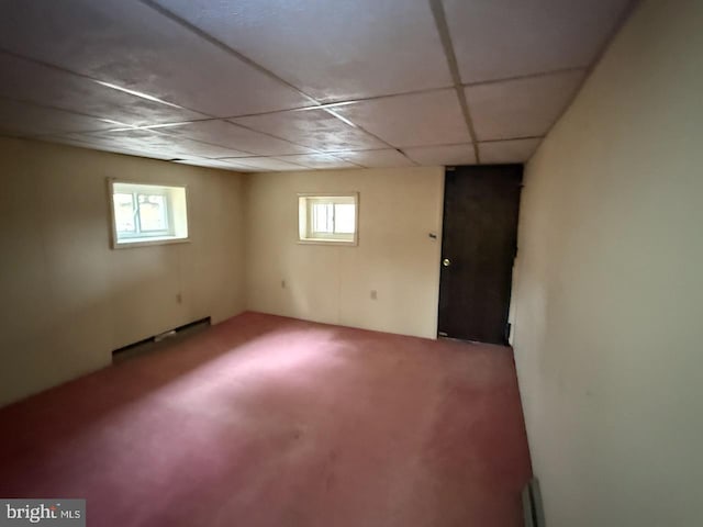 basement featuring a wealth of natural light, a drop ceiling, and carpet flooring