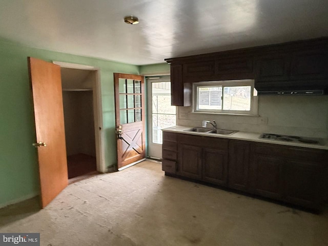 kitchen with stovetop, light countertops, a sink, and ventilation hood