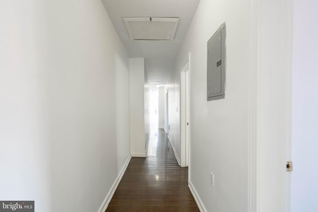 corridor with attic access, electric panel, baseboards, and dark wood finished floors