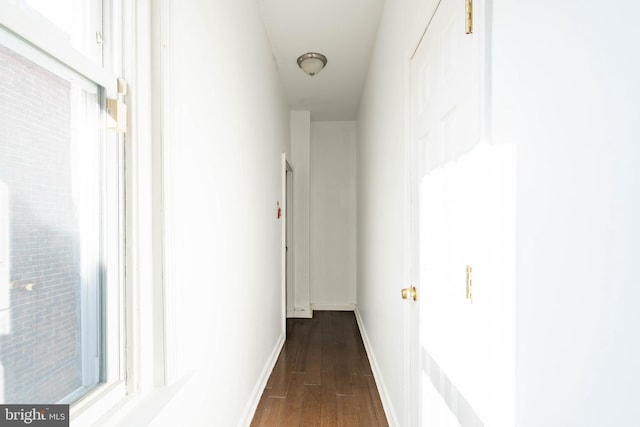 corridor with baseboards and dark wood-type flooring