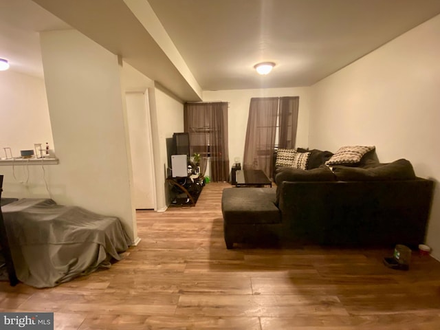 living room featuring wood finished floors