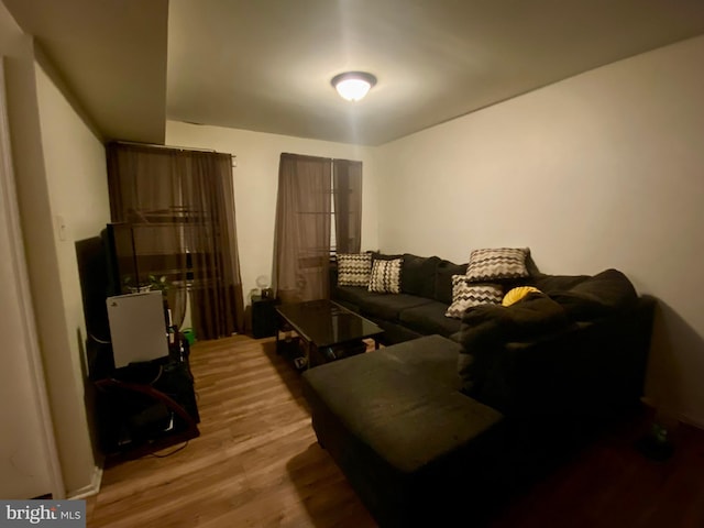 living area featuring wood finished floors