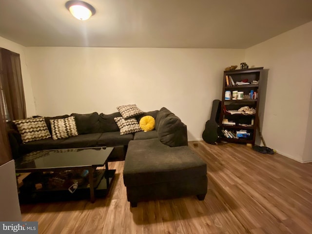 living area featuring wood finished floors