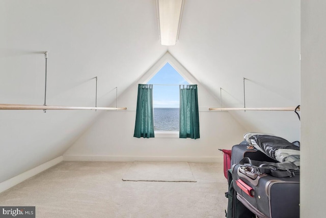 walk in closet featuring vaulted ceiling and carpet flooring