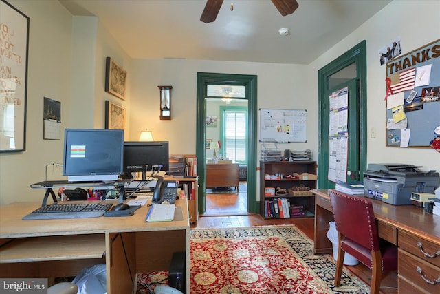 office featuring a ceiling fan and wood finished floors