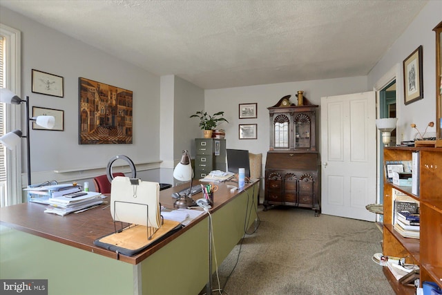 carpeted office with a textured ceiling