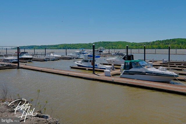 dock area with a forest view and a water view