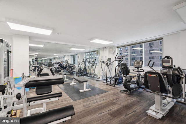 workout area featuring wood finished floors