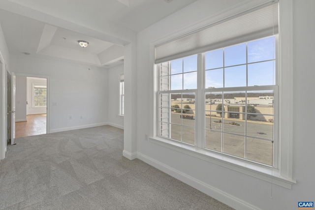 spare room featuring baseboards, a raised ceiling, and carpet flooring