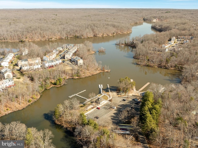 bird's eye view featuring a forest view and a water view