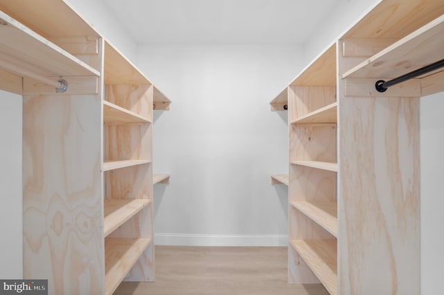 spacious closet featuring wood finished floors