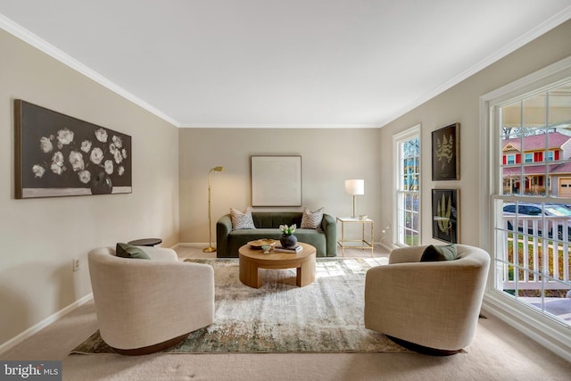 carpeted living area with crown molding and baseboards