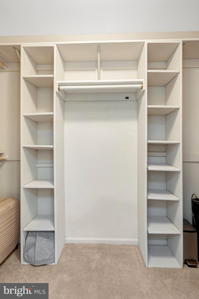 walk in closet featuring carpet floors