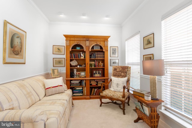 living area featuring carpet and ornamental molding