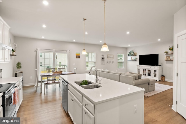 kitchen with stainless steel appliances, light wood-type flooring, a sink, and recessed lighting