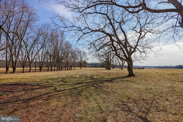 view of yard with a rural view