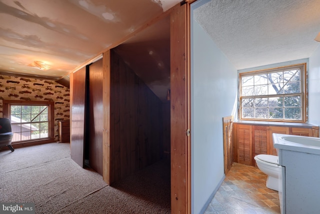 interior space with lofted ceiling, stone finish floor, and a textured ceiling