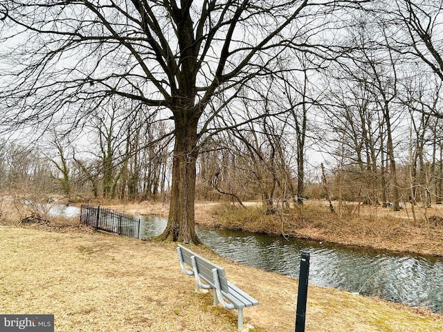 dock area featuring a water view and fence