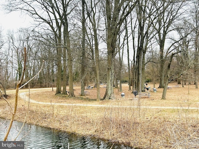 view of yard with a water view