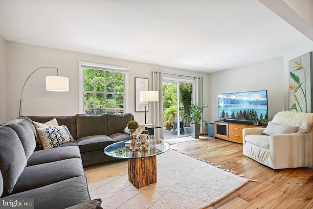 living area with light wood finished floors