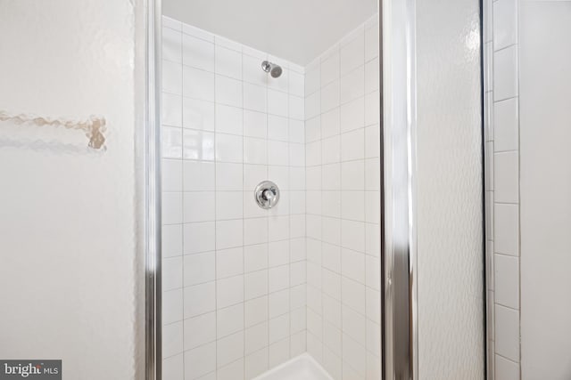 bathroom featuring a shower stall