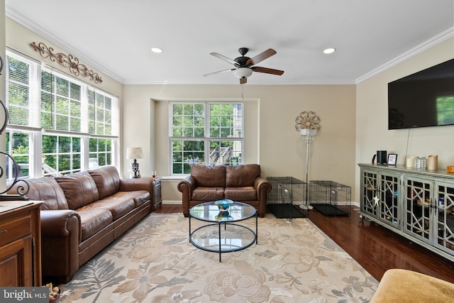 living area featuring crown molding, baseboards, and wood finished floors