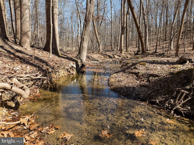 property view of water with a forest view