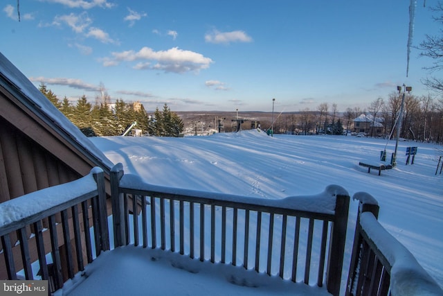 view of yard covered in snow