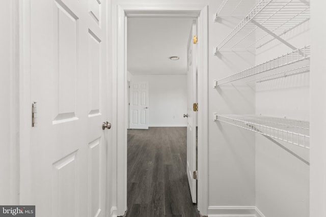 walk in closet featuring dark wood-style floors