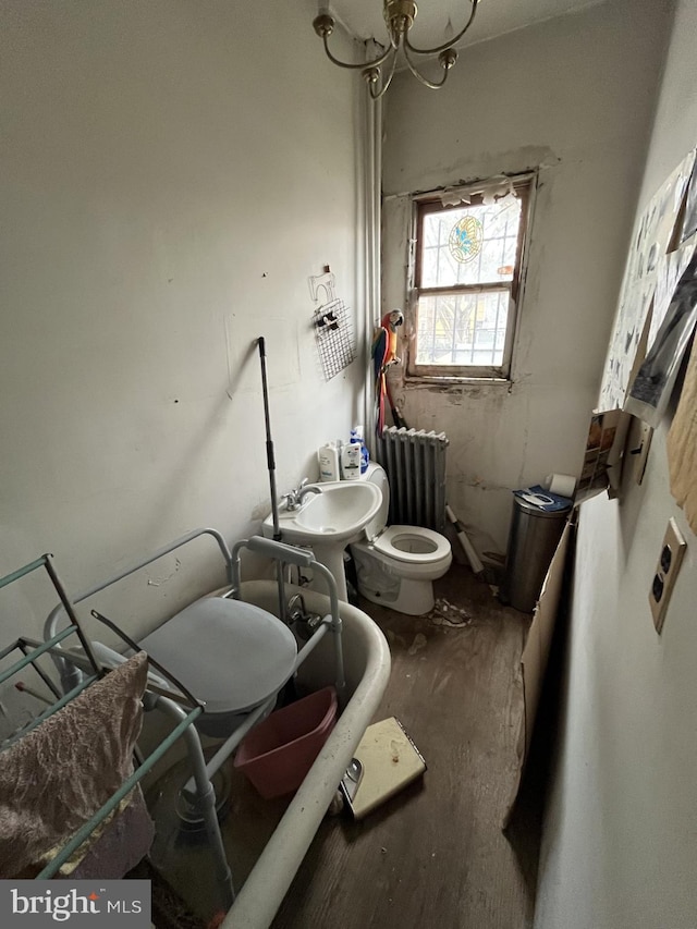 bathroom featuring toilet, radiator heating unit, and a sink