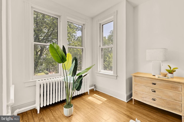 121 Kentucky Ave SE, Washington, DC 20003 - detailed view of radiator and wood finished floors