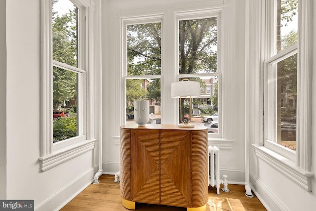 121 Kentucky Ave SE, Washington, DC 20003 - interior space with wood finished floors and radiator