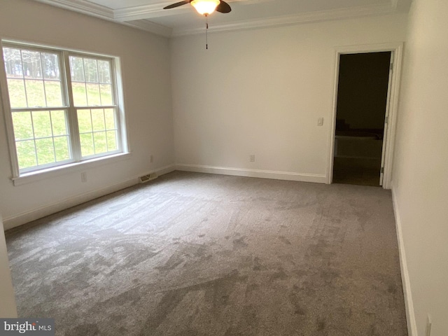 unfurnished room with carpet, crown molding, visible vents, ceiling fan, and baseboards