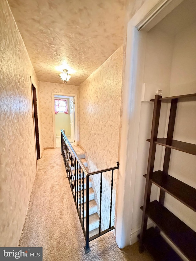 hall featuring carpet floors, wallpapered walls, and a textured ceiling