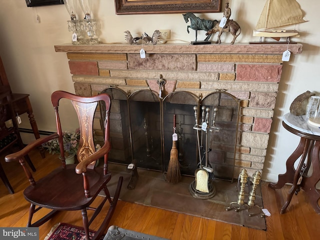 room details featuring a stone fireplace and wood finished floors