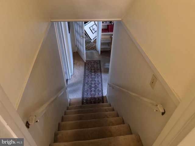 staircase featuring carpet