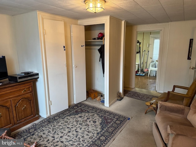 carpeted bedroom featuring a closet