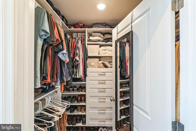 view of spacious closet