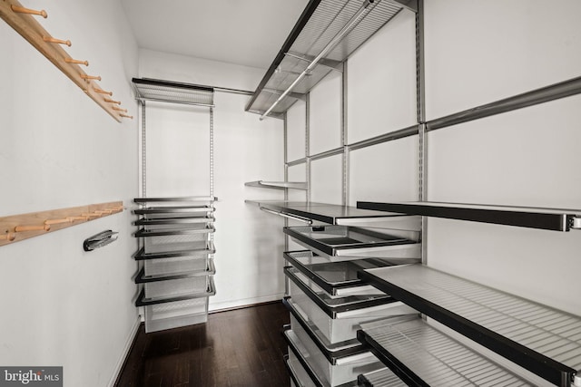 walk in closet featuring dark wood finished floors