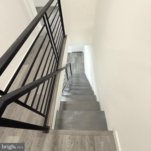 staircase featuring wood finished floors