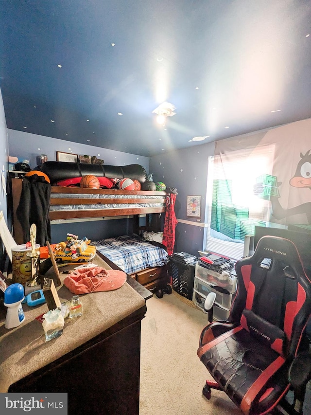 bedroom with carpet floors